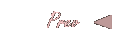 Previous